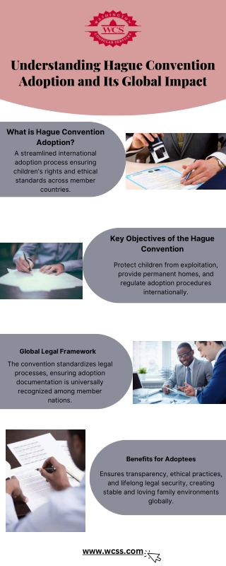 Understanding Hague Convention Adoption and Its Global Impact