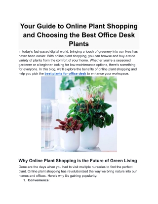 Buy Snake Plants Online in India | Low-Maintenance Indoor Plants