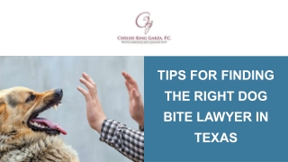 tips for finding the right dog bite lawyer