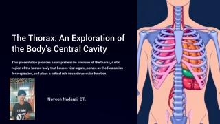 The-Thorax-An-Exploration-of-the-Bodys-Central-Cavity Naveen Nadaraj, DT.