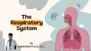 The Respiratory System By Nishanth D.T