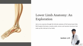 Lower-Limb-Anatomy-An-Exploration Karthick. S, DT.