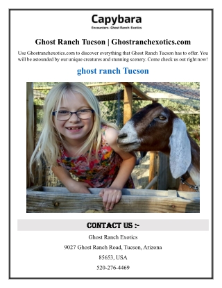 ghost ranch tucson ghostranchexotics com