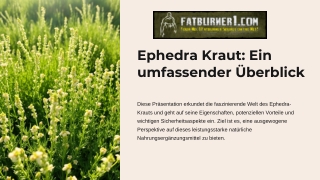 Ephedra Kraut kaufen Für mehr Energie und effektive Fettverbrennung