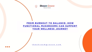 from burnout to balance how functional mushrooms