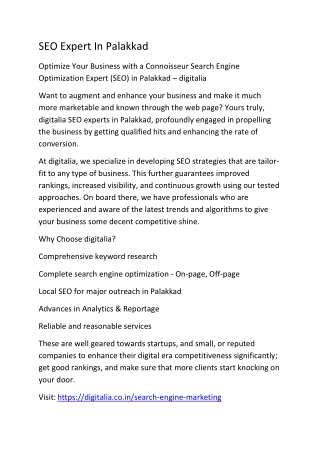 seo expert in palakkad