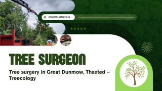 Tree Surgeon, Tree surgery in Great Dunmow, Thaxted – Treecology