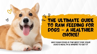 The Ultimate Guide to Raw Feeding for Dogs – A Healthier Choice!