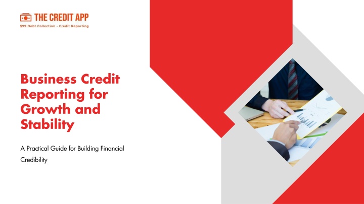 business credit reporting for growth and stability