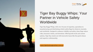 Tiger Bay Buggy Whips: Your Partner in Vehicle Safety Worldwide