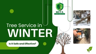 Tree Service in Winter Is It Safe and Effective