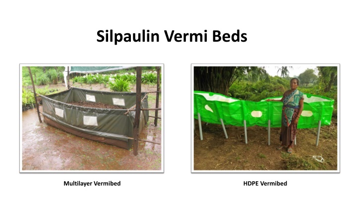 silpaulin vermi beds