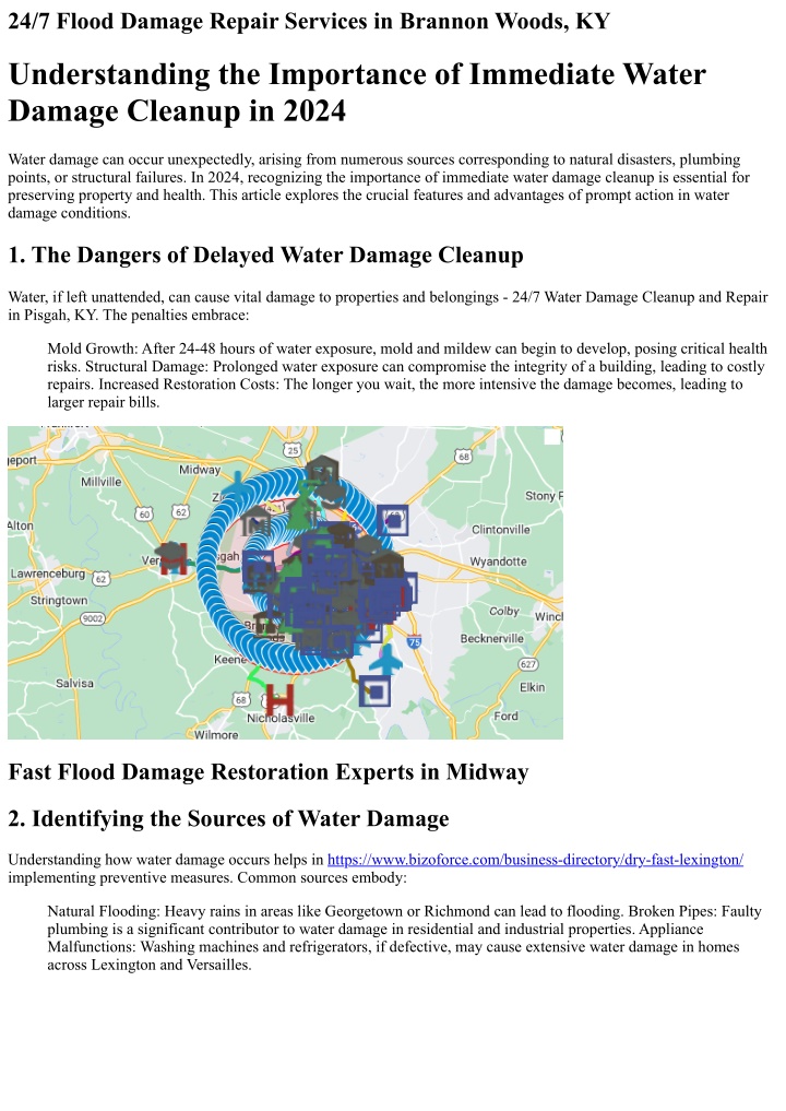 24 7 flood damage repair services in brannon