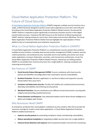 cloud native application protection platform
