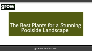 The Best Plants for a Stunning Poolside Landscape