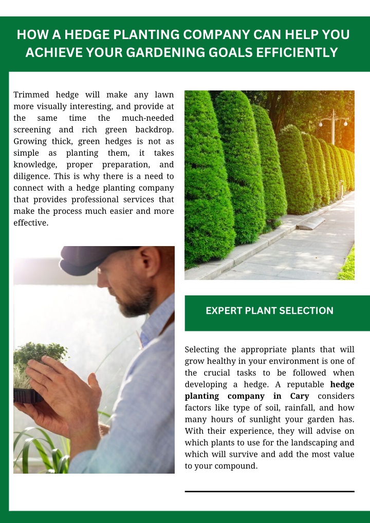 how a hedge planting company can help you achieve