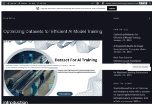 Optimizing Datasets for Efficient AI Model Training