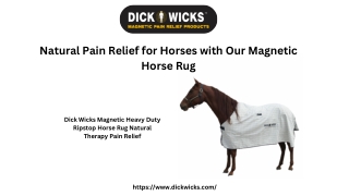 Natural Pain Relief for Horses with Our Magnetic Horse Rug