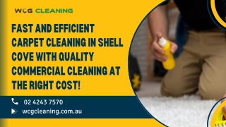 Fast and efficient carpet cleaning in Shell Cove with quality commercial cleaning at the right cost!