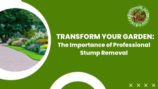 Transform Your Garden The Importance of Professional Stump Removal