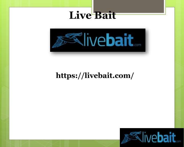 live bait