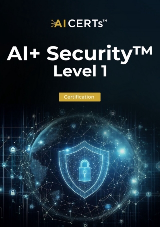 AI  Security Level 1 Executive Summary