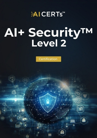 AI  Security Level 2 Executive Summary