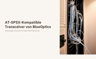 AT-SPSX-Kompatible | Gbic Shop