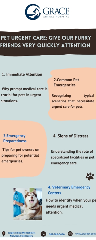 Pet Urgent Care Give Our Furry Friends Very Quickly Attention