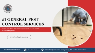Expert General Pest Control Services in Texas
