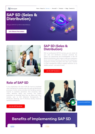 SAP Sales and Distribution Consulting