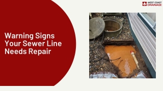 Warning Signs Your Sewer Line Needs Repair