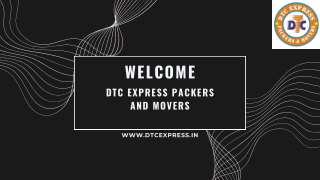 Dtc Express Packers and Movers