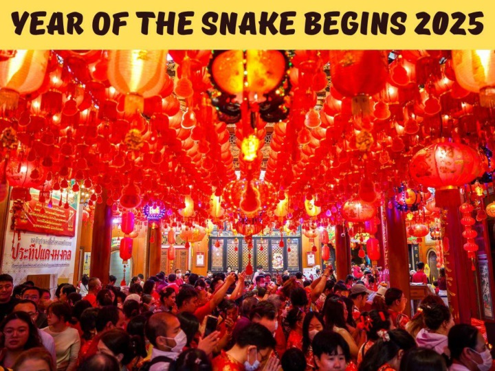 year of the snake begins 2025