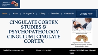 cingulate cortex studies psychopathology cingulum
