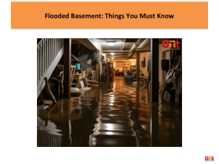 Flooded Basement: Things You Must Know