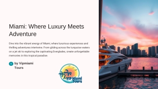 miami where luxury meets adventure