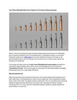 Top 5 Most Affordable Bulk Ammo Options for Hunting and Range Shooting
