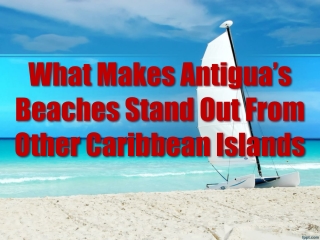 What Makes Antigua’s Beaches Stand Out From Other Caribbean Islands