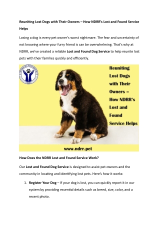 Reuniting Lost Dogs with Their Owners – How NDRR’s Lost and Found Service Helps