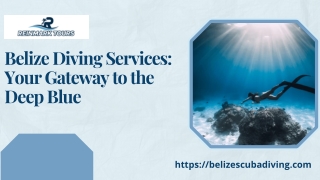 belize diving services your gateway to the deep