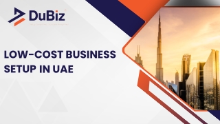 Low-Cost Business Setup in UAE