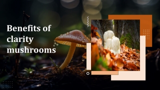 Benefits of clarity mushrooms