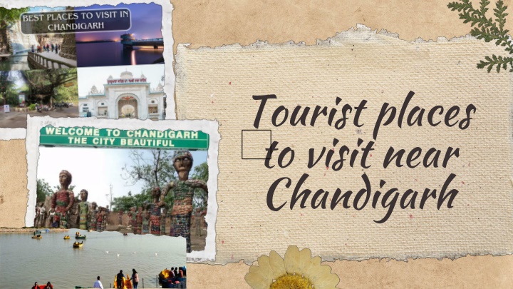 tourist places to visit near chandigarh