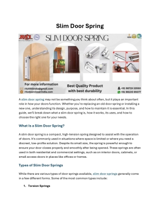 Slim Door Spring