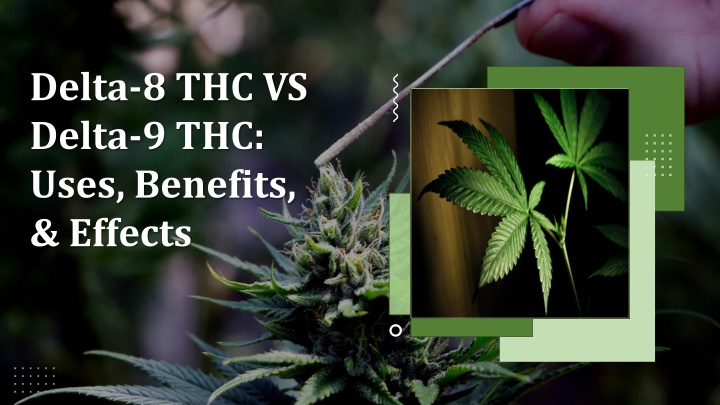 delta 8 thc vs delta 9 thc uses benefits effects