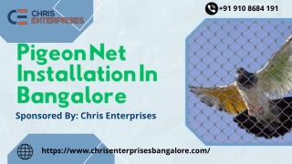 Pigeon Net Installation  In Bangalore