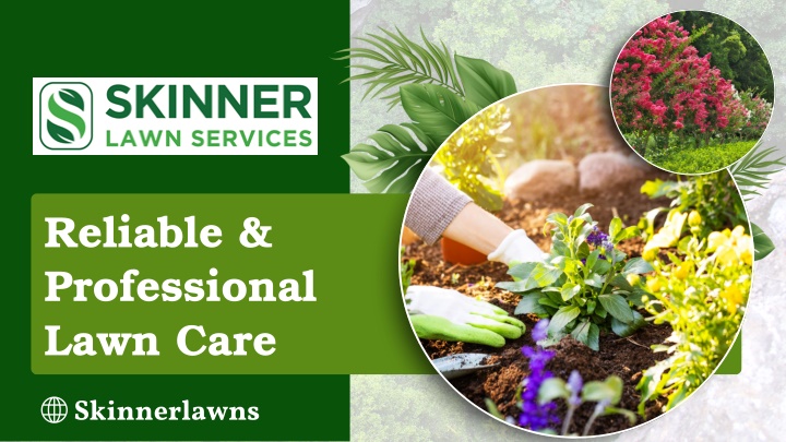 reliable professional lawn care