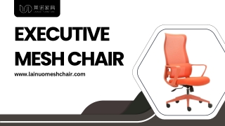 executive mesh chair