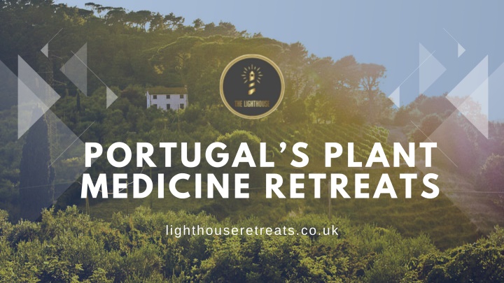 portugal s plant medicine retreats